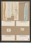 Pleurosigma attenuatum var. caspium (Kuetz.) W.Sm. (de-Toni-Nr.: Genus 13, Species 1062) Zeichnungen Sammlung Grunow Nr. 1912 (NHMW-BOT-W0369035)